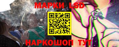 apvp Кингисепп