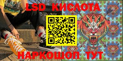 apvp Кингисепп