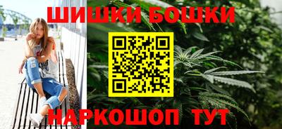 apvp Кингисепп
