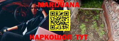 apvp Кингисепп