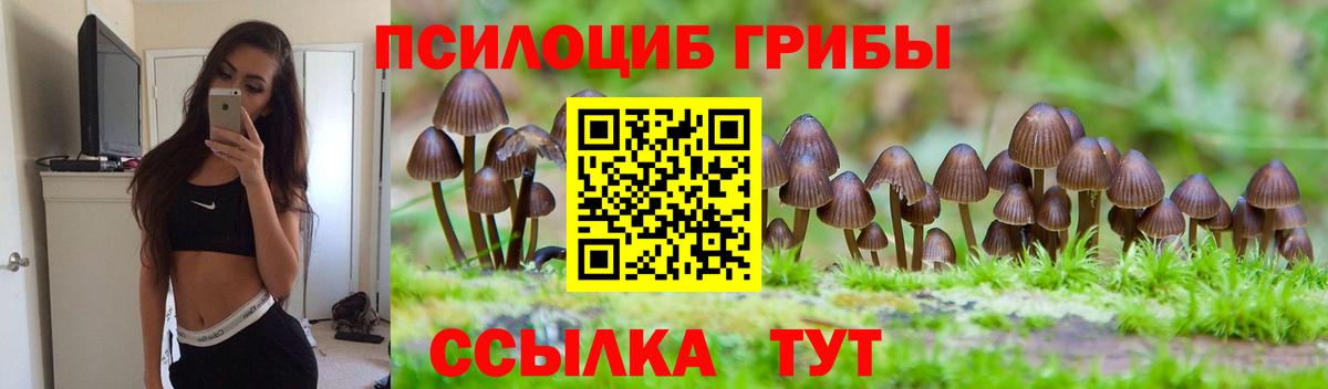 Псилоцибиновые грибы Psilocybine cubensis  Вход с VPN  Галлюциногенные грибы Magic Shrooms  Великий Новгород 